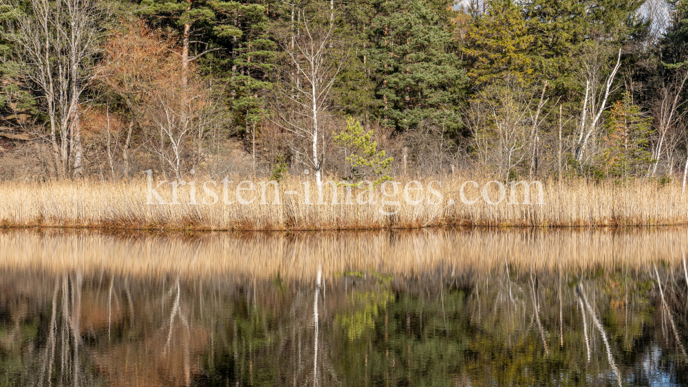 Seerosenweiher im Herbst, Lans, Tirol, Austria by kristen-images.com