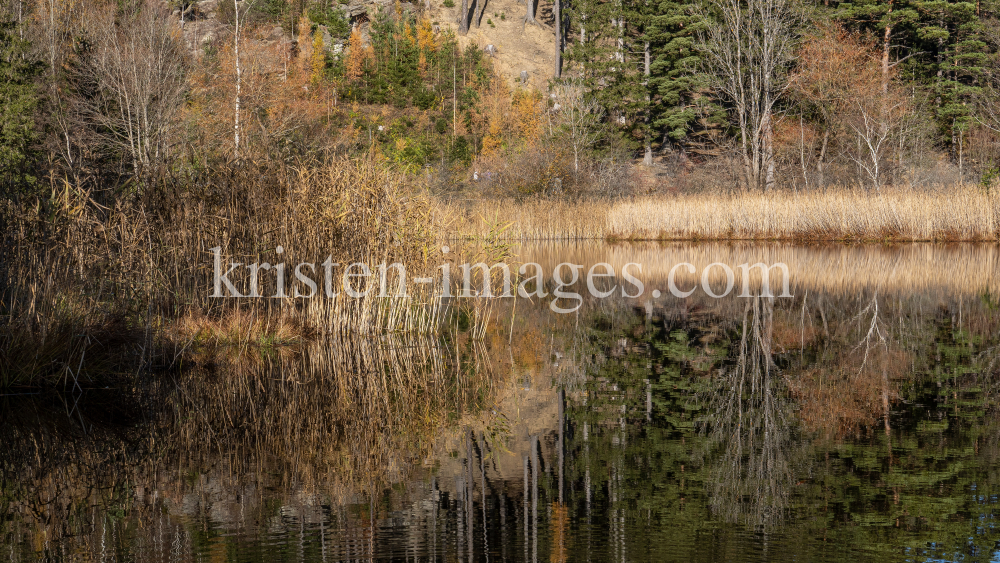 Seerosenweiher im Herbst, Lans, Tirol, Austria by kristen-images.com