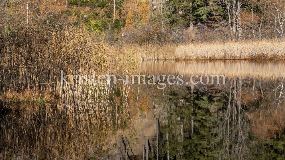 Seerosenweiher im Herbst, Lans, Tirol, Austria by kristen-images.com