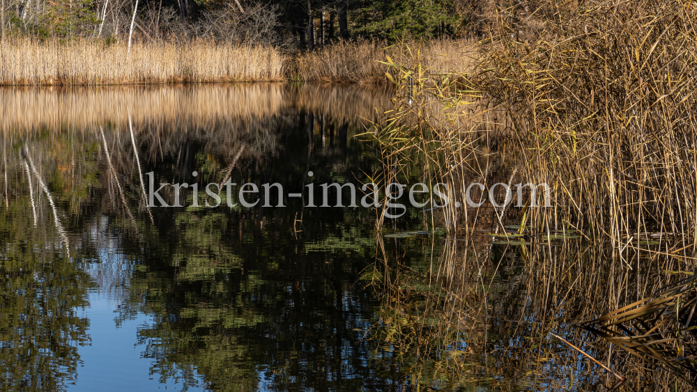 Seerosenweiher im Herbst, Lans, Tirol, Austria by kristen-images.com