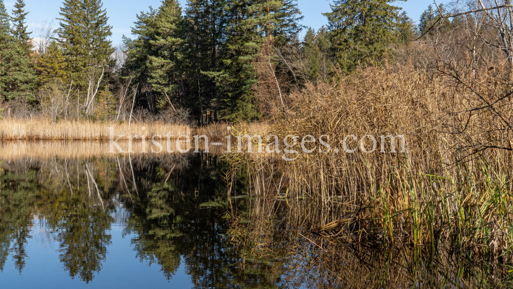 Seerosenweiher im Herbst, Lans, Tirol, Austria by kristen-images.com