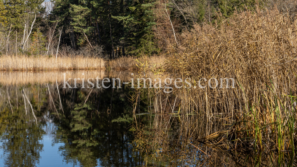 Seerosenweiher im Herbst, Lans, Tirol, Austria by kristen-images.com