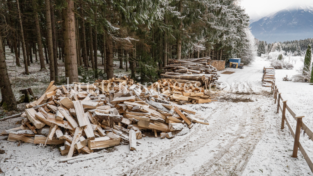 Brennholz im Wald by kristen-images.com