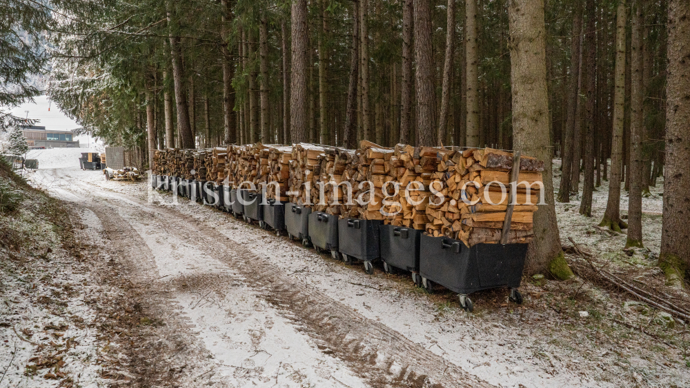 Brennholz im Wald by kristen-images.com