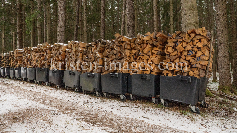 Brennholz im Wald by kristen-images.com