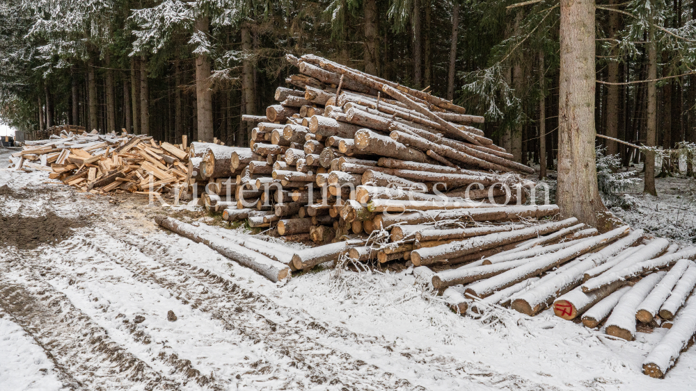 Brennholz im Wald by kristen-images.com