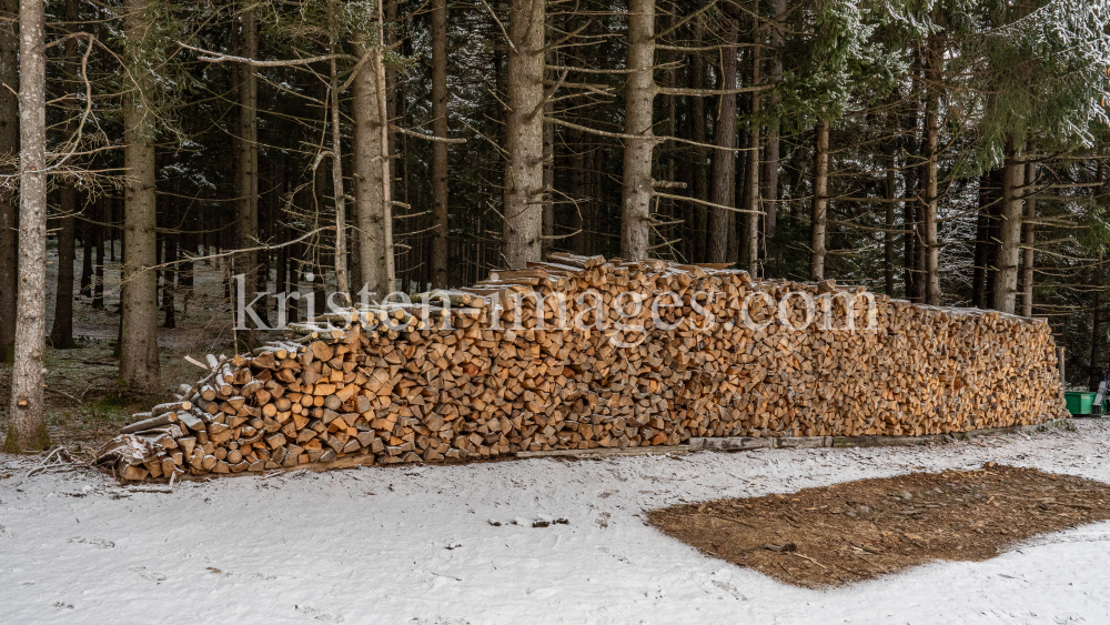 Brennholz im Wald by kristen-images.com