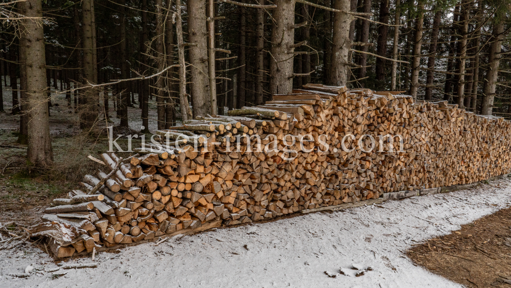 Brennholz im Wald by kristen-images.com