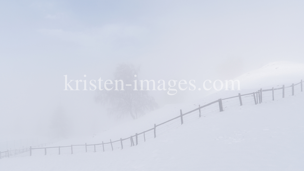 zugeschneiter Zaun im Nebel by kristen-images.com