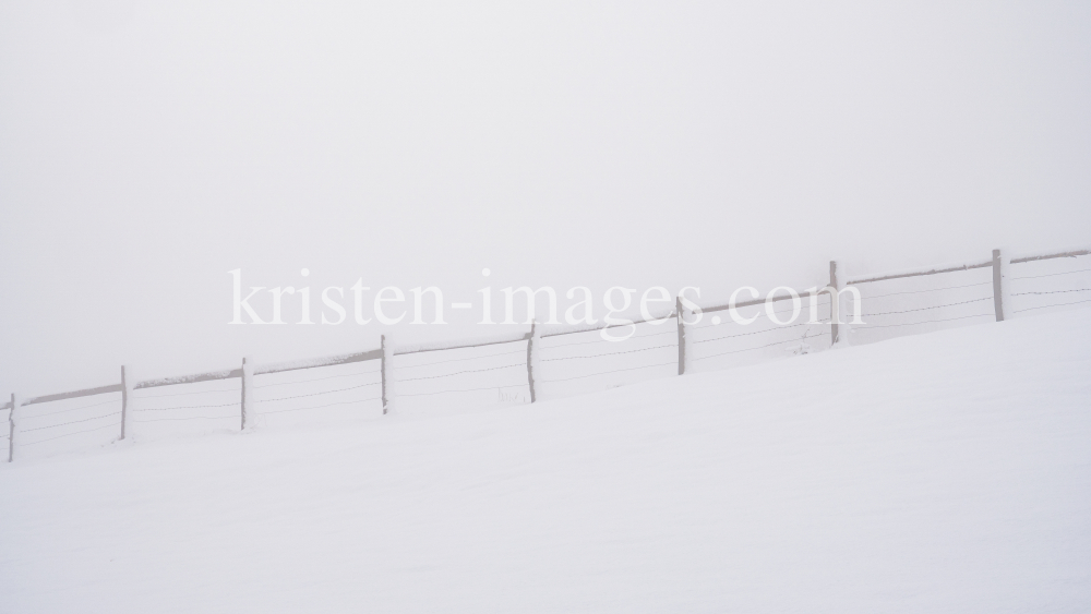 zugeschneiter Zaun im Nebel by kristen-images.com