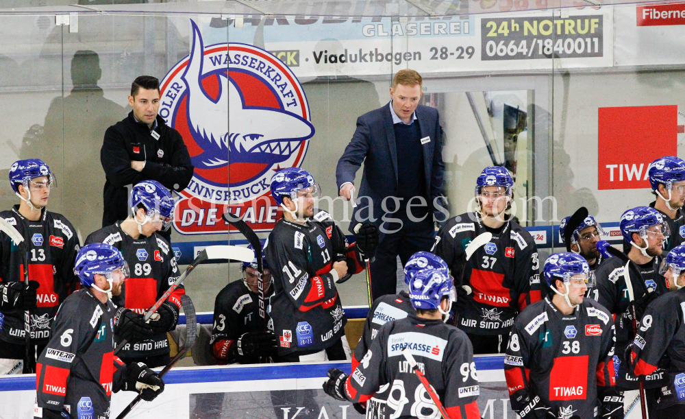 HC TWK Innsbruck-Die Haie - HCB Südtirol Alperia by kristen-images.com