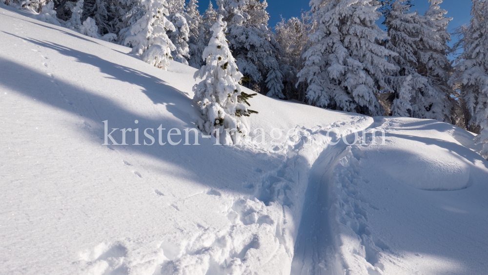 Skitourenspur / Patscherkofel, Tirol, Austria by kristen-images.com
