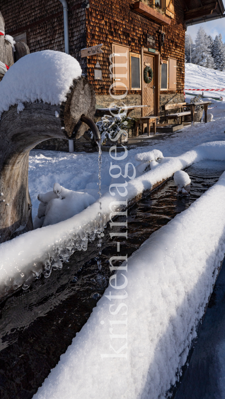 Patscher Alm, Patscherkofel, Patsch, Tirol, Austria by kristen-images.com