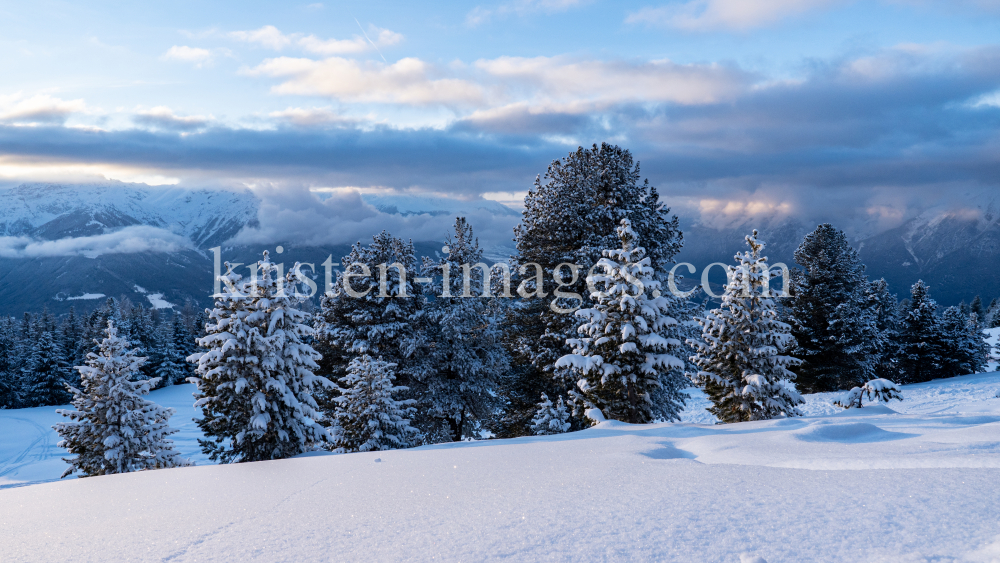verschneiter Zirbenwald / Patscherkofel, Tirol, Austria by kristen-images.com