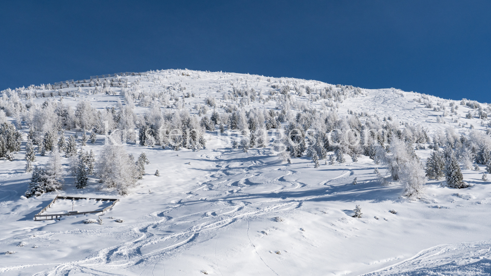 Skispuren im Tiefschnee / Patscherkofel, Tirol, Austria by kristen-images.com