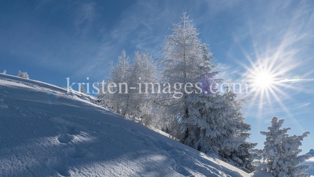 Patscherkofel, Tirol, Austria by kristen-images.com