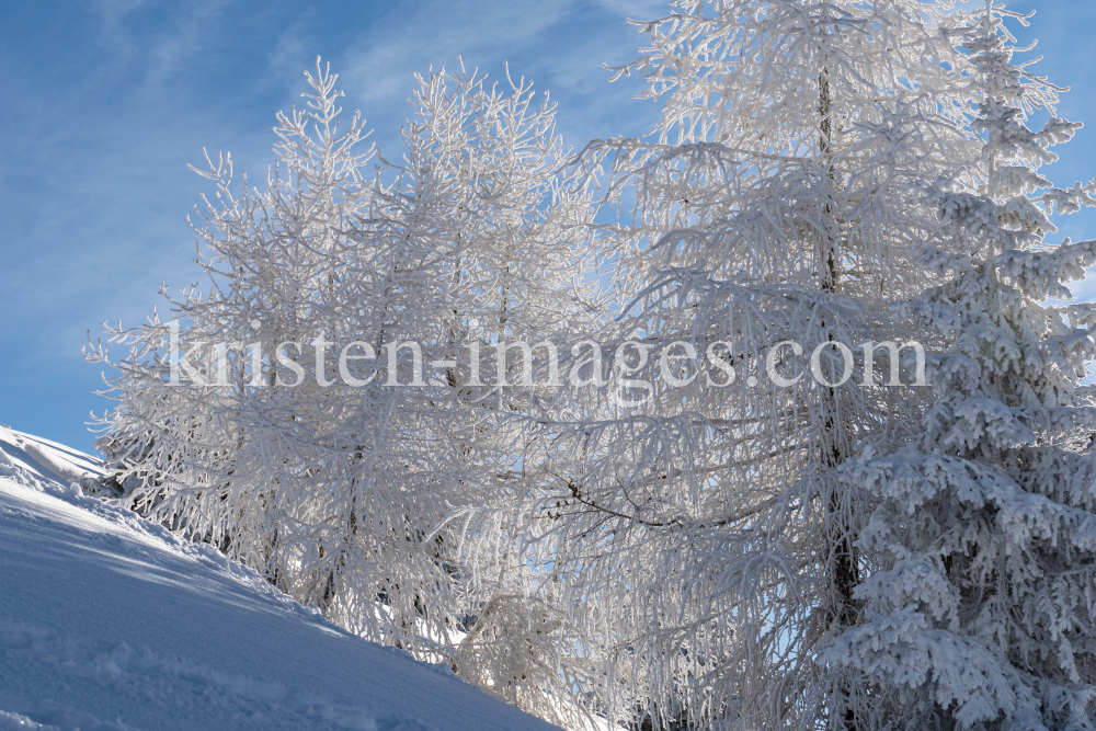 Patscherkofel, Tirol, Austria by kristen-images.com