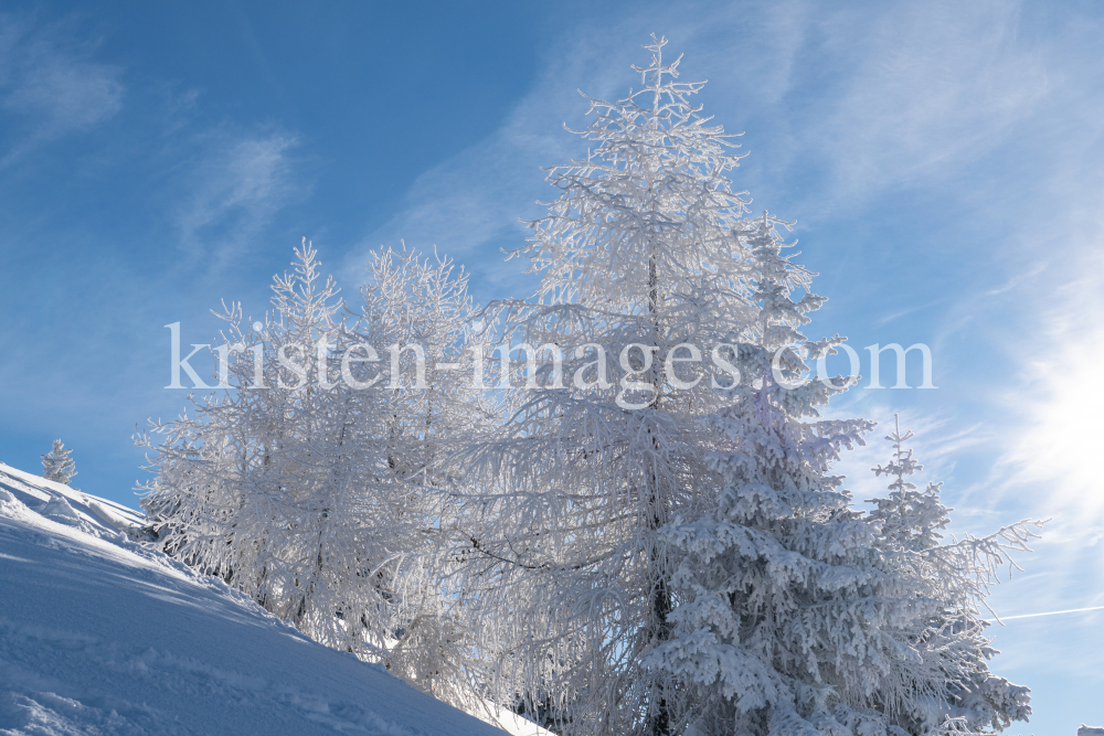 Patscherkofel, Tirol, Austria by kristen-images.com