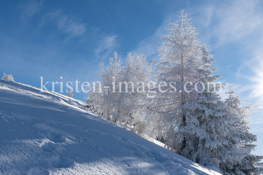 Patscherkofel, Tirol, Austria by kristen-images.com