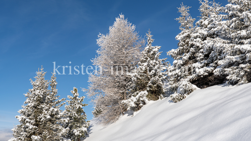 Patscherkofel, Tirol, Austria by kristen-images.com