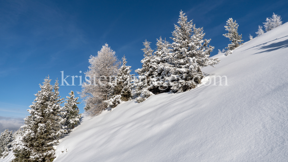 Patscherkofel, Tirol, Austria by kristen-images.com