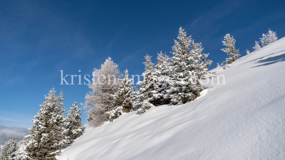 Patscherkofel, Tirol, Austria by kristen-images.com