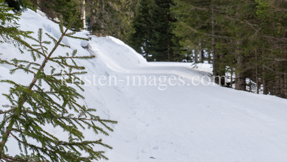 Vitalweg Patscherkofel, Tirol, Austria by kristen-images.com