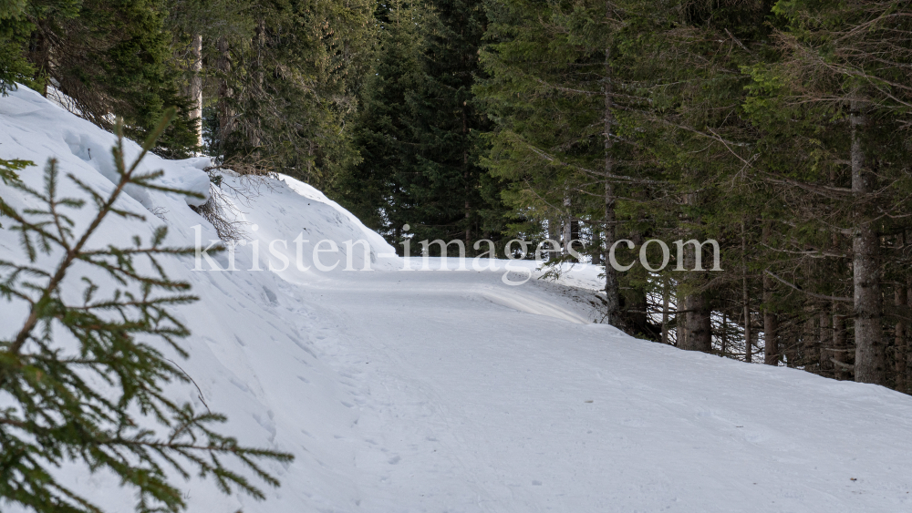 Vitalweg Patscherkofel, Tirol, Austria by kristen-images.com