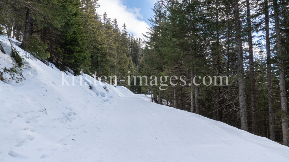 Vitalweg Patscherkofel, Tirol, Austria by kristen-images.com