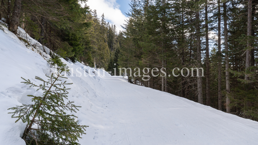 Vitalweg Patscherkofel, Tirol, Austria by kristen-images.com