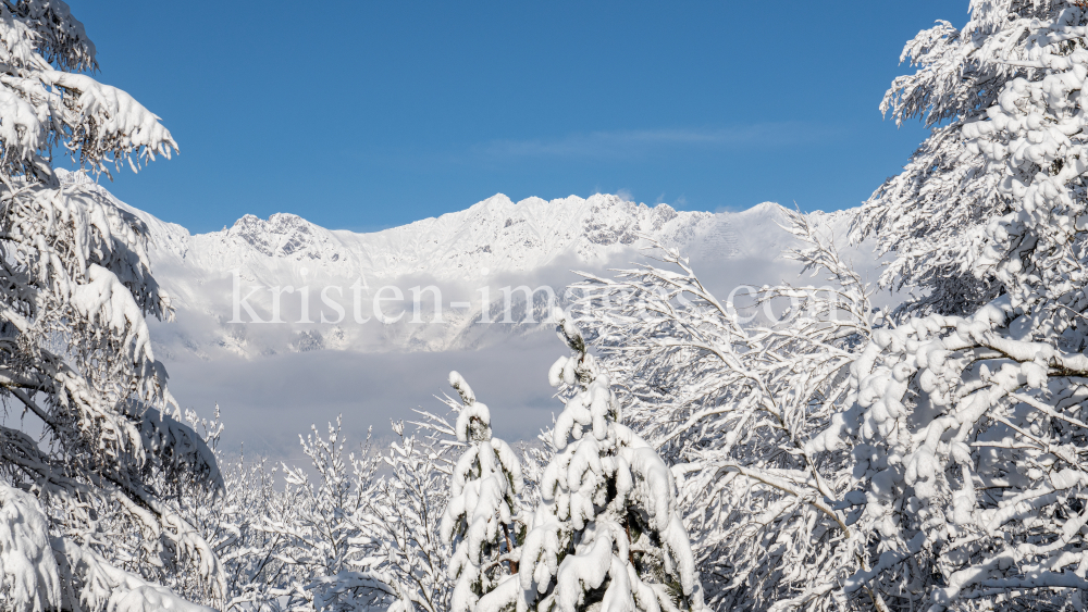 verschneite Bäume / Igls, Innsbruck, Tirol, Austria by kristen-images.com