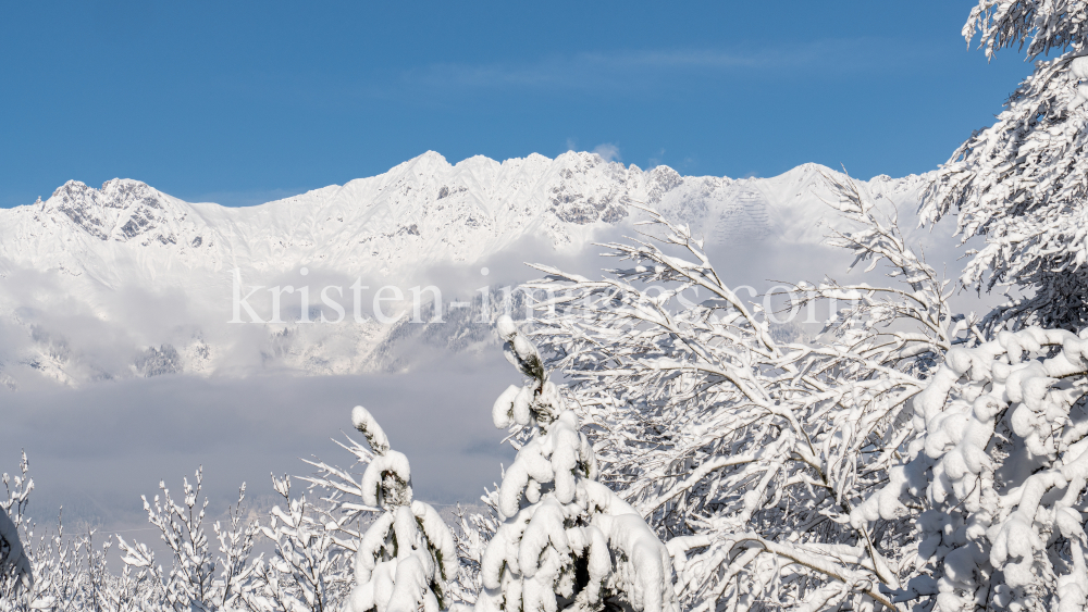 verschneite Bäume / Igls, Innsbruck, Tirol, Austria by kristen-images.com