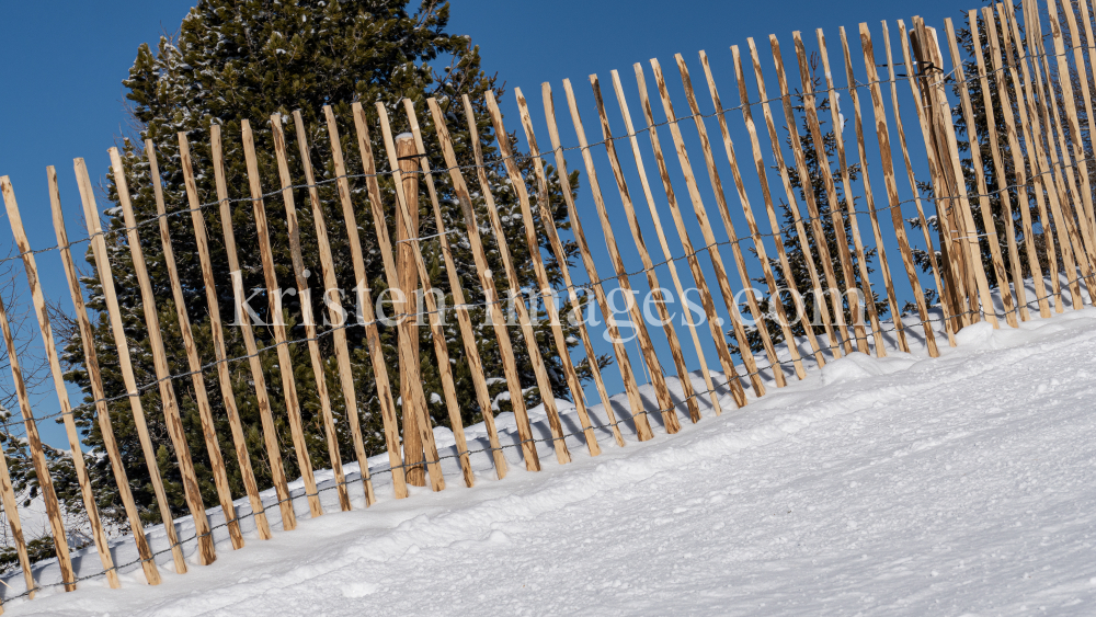 Olympiaabfahrt Patscherkofel, Tirol, Austria by kristen-images.com