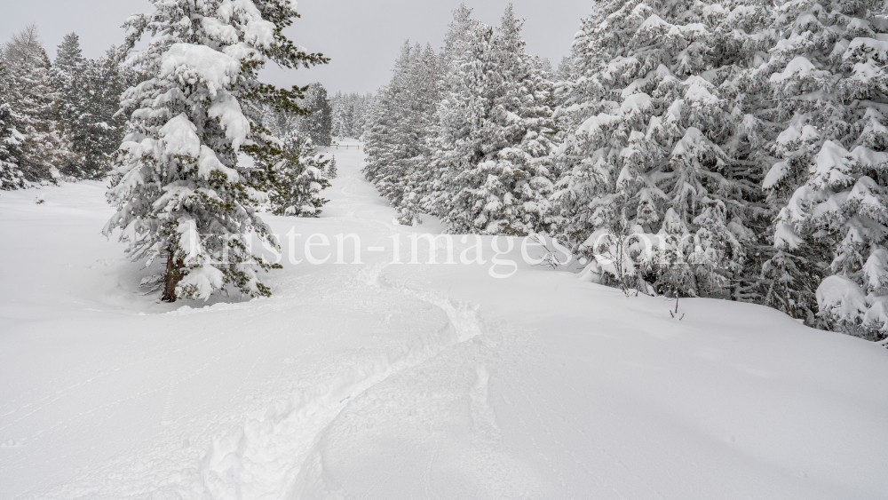 Tiefschneespur von Skifahrer durch den Wald / Patscherkofel, Tirol, Austria by kristen-images.com