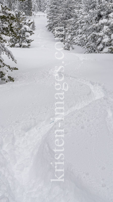 Tiefschneespur von Skifahrer durch den Wald / Patscherkofel, Tirol, Austria by kristen-images.com