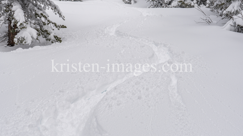 Tiefschneespur von Skifahrer durch den Wald / Patscherkofel, Tirol, Austria by kristen-images.com