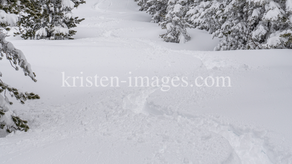 Tiefschneespur von Skifahrer durch den Wald / Patscherkofel, Tirol, Austria by kristen-images.com