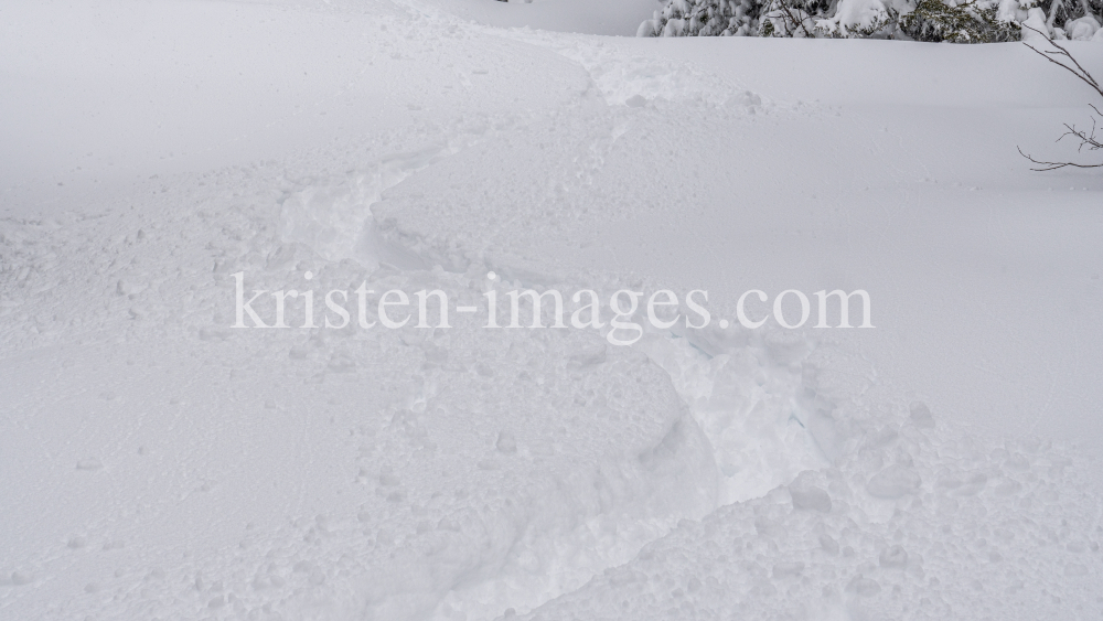 Tiefschneespur von Skifahrer durch den Wald / Patscherkofel, Tirol, Austria by kristen-images.com