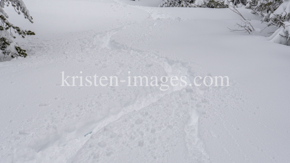 Tiefschneespur von Skifahrer durch den Wald / Patscherkofel, Tirol, Austria by kristen-images.com