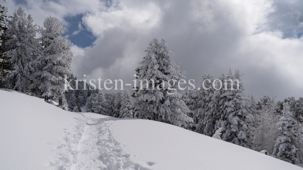 Skitourenspur / Patscherkofel, Tirol, Austria by kristen-images.com