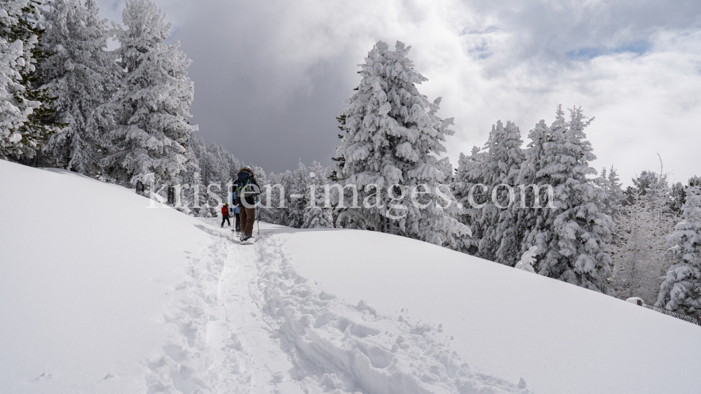 Freerider / Patscherkofel, Tirol, Austria by kristen-images.com