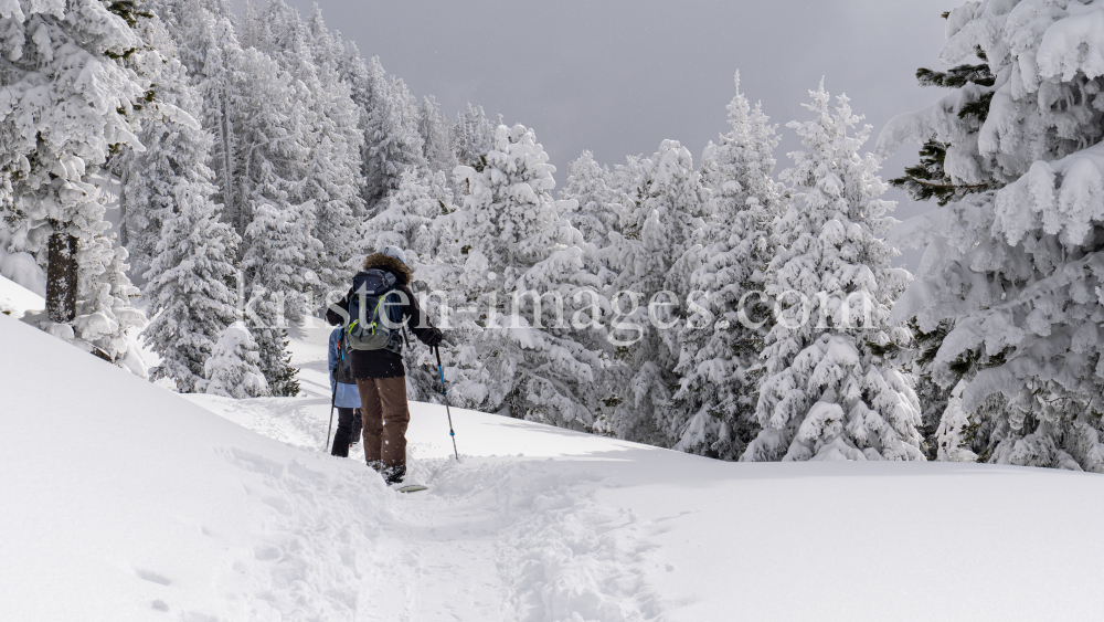 Freerider / Patscherkofel, Tirol, Austria by kristen-images.com