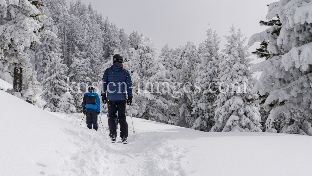 Freerider / Patscherkofel, Tirol, Austria by kristen-images.com