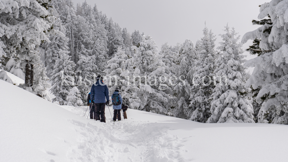 Freerider / Patscherkofel, Tirol, Austria by kristen-images.com