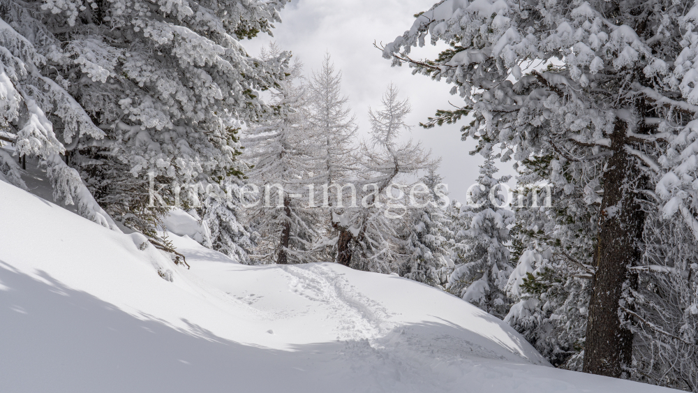 Skitourenspur / Patscherkofel, Tirol, Austria by kristen-images.com