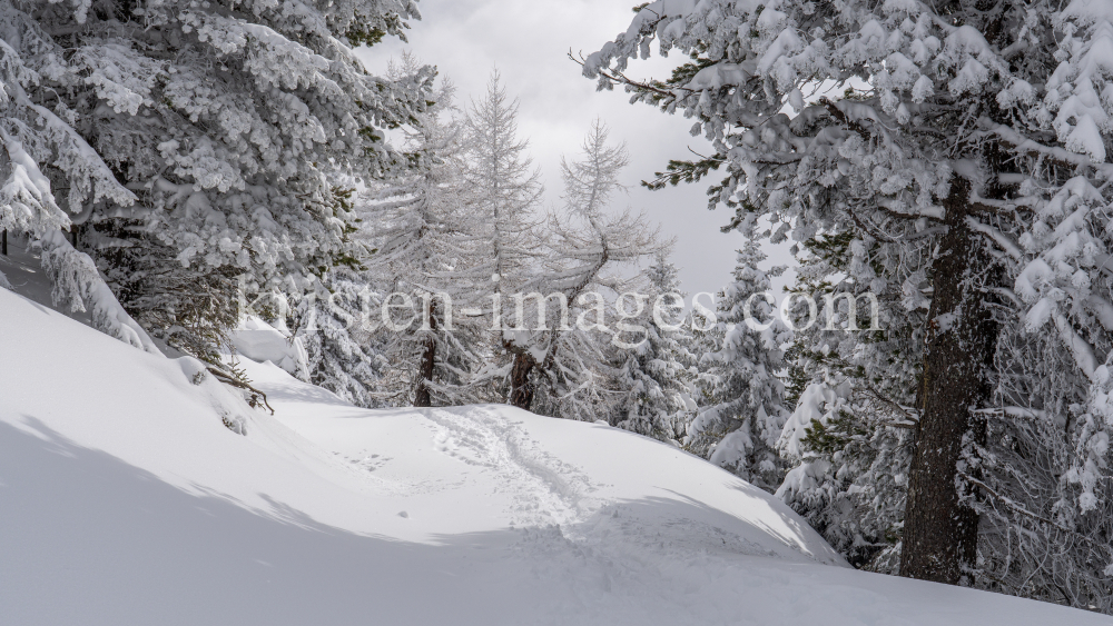 Skitourenspur / Patscherkofel, Tirol, Austria by kristen-images.com