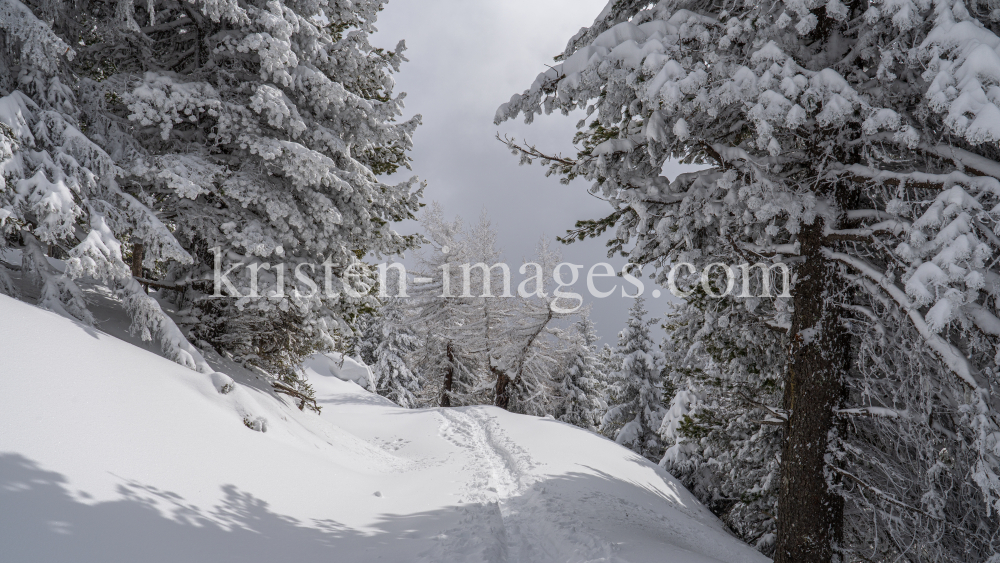 Skitourenspur / Patscherkofel, Tirol, Austria by kristen-images.com