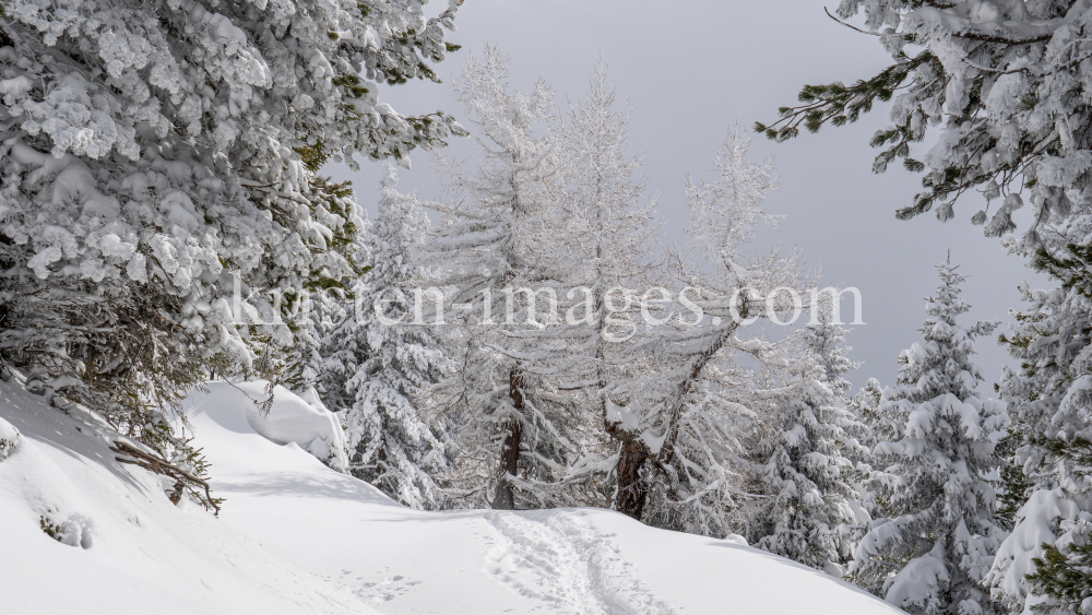 Skitourenspur / Patscherkofel, Tirol, Austria by kristen-images.com