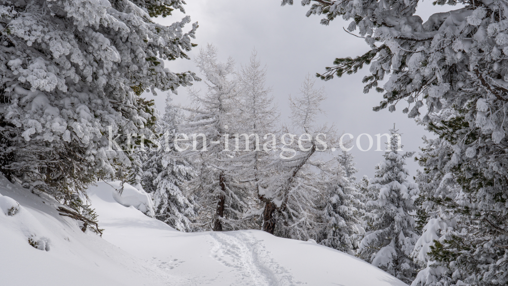 Skitourenspur / Patscherkofel, Tirol, Austria by kristen-images.com