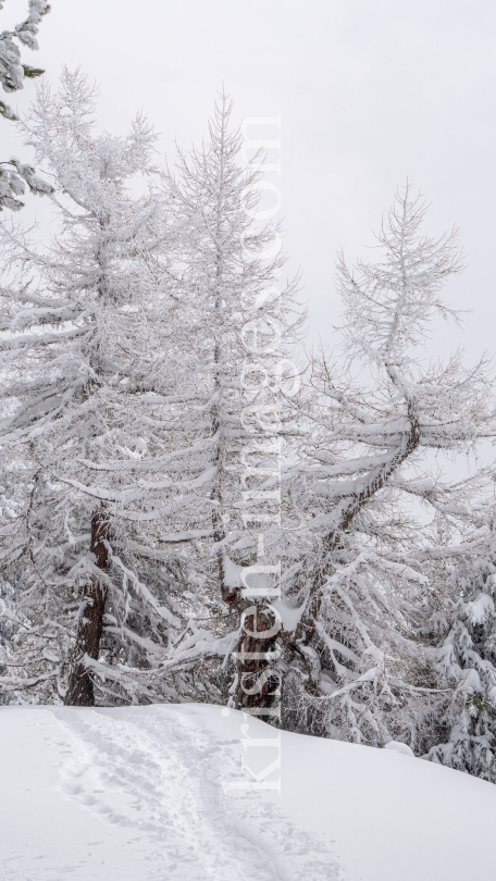 Skitourenspur / Patscherkofel, Tirol, Austria by kristen-images.com